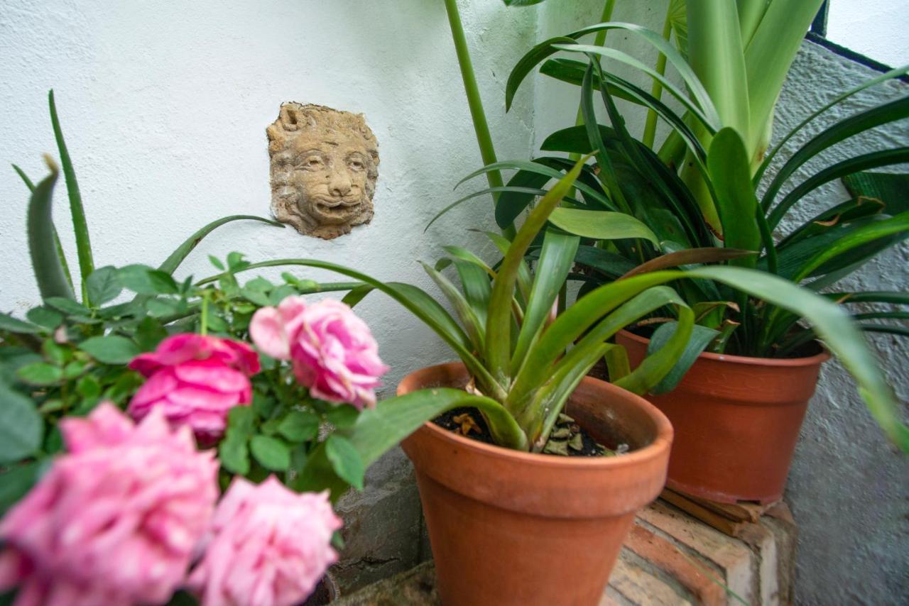 El Patio De Regina Apartment Cordoba