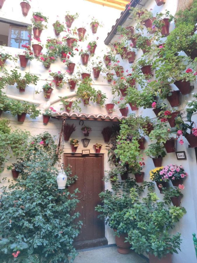 Apartment El Capricho De San Fernando, Consigna Gratis Y Parking A 200mts Cordoba
