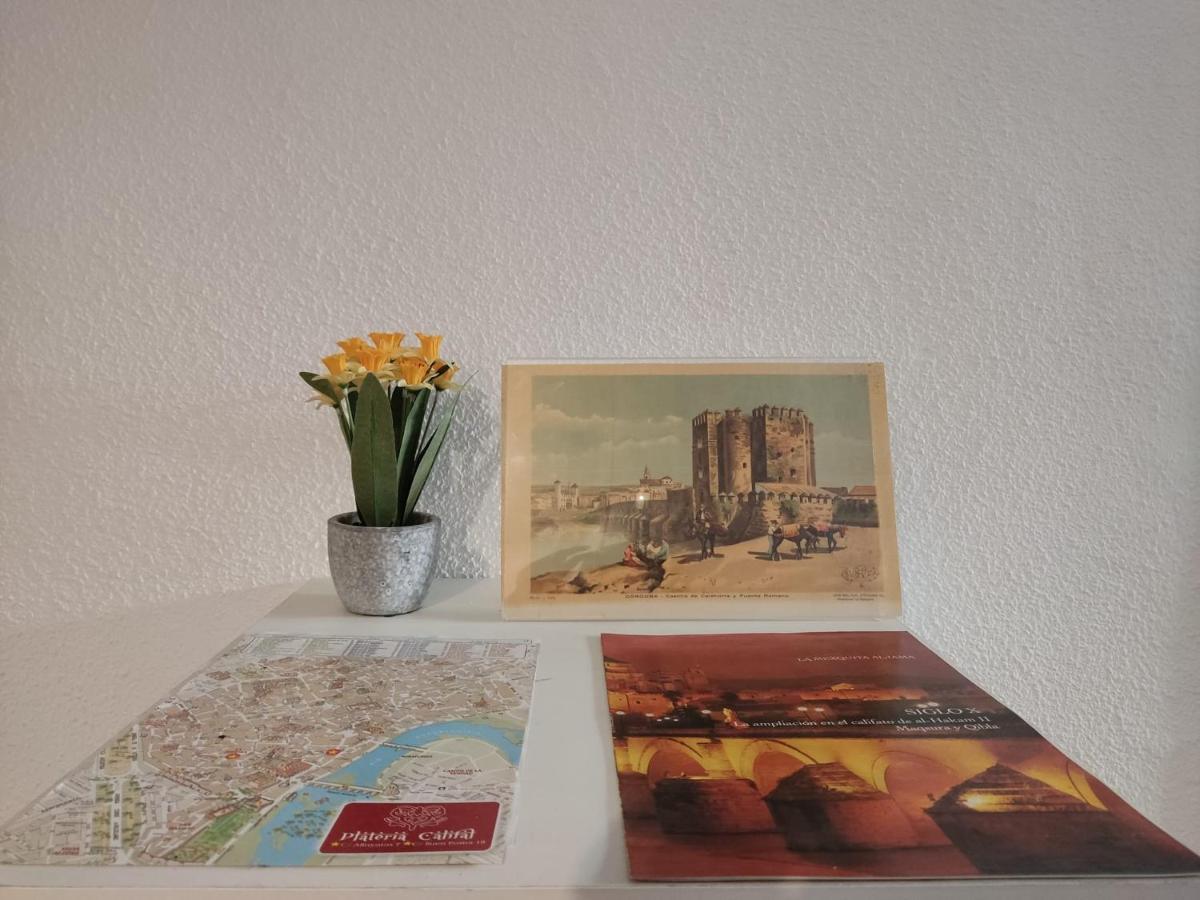 Tu ático Lindo Apartamento