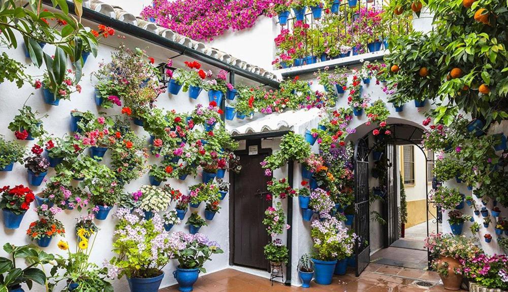 Hacienda Miraflores * Córdoba