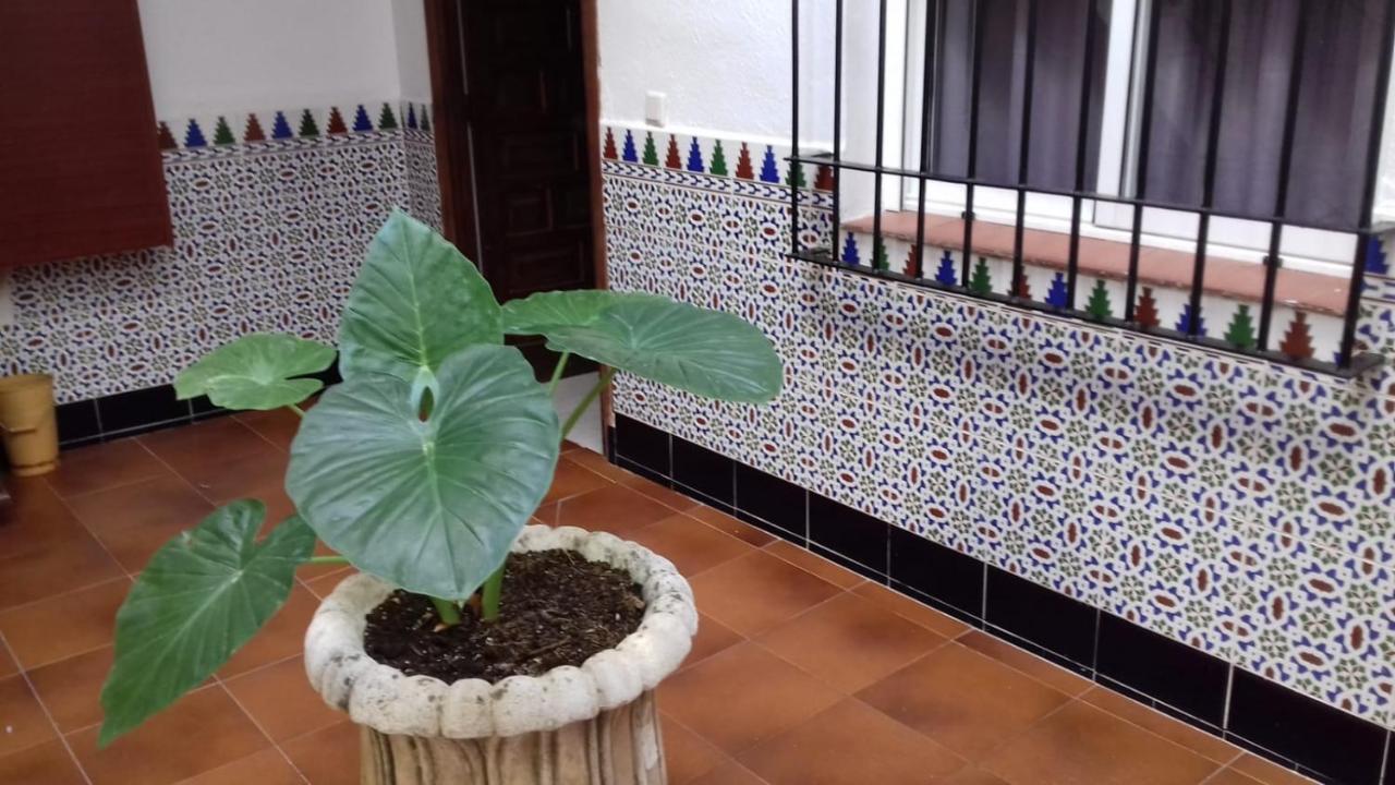 Apartamento Patio Pompeyos