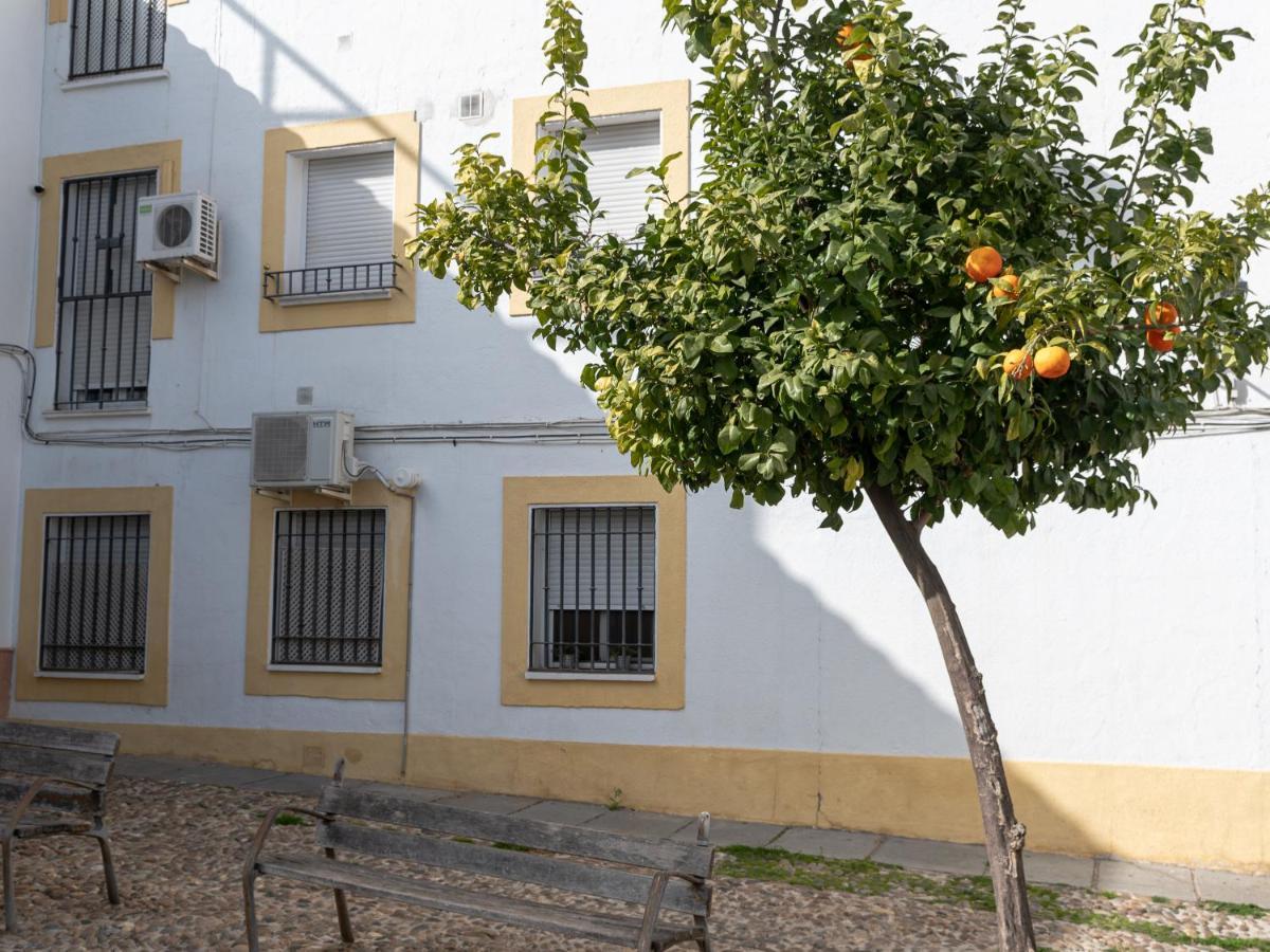 Apartment Nayber Gavia - Nuevo Y Centrico En Cordoba