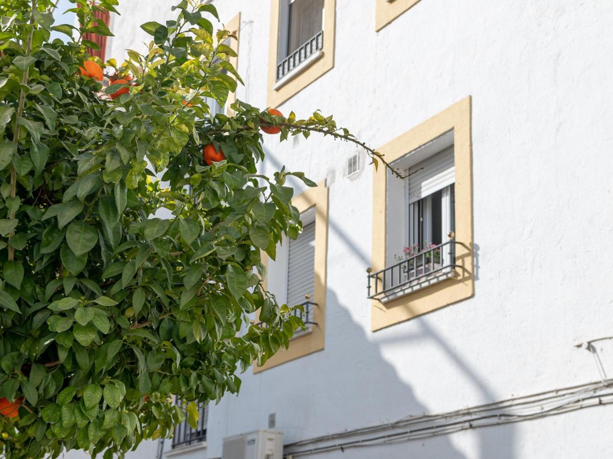 Nayber Gavia - Nuevo Y Centrico En Apartment