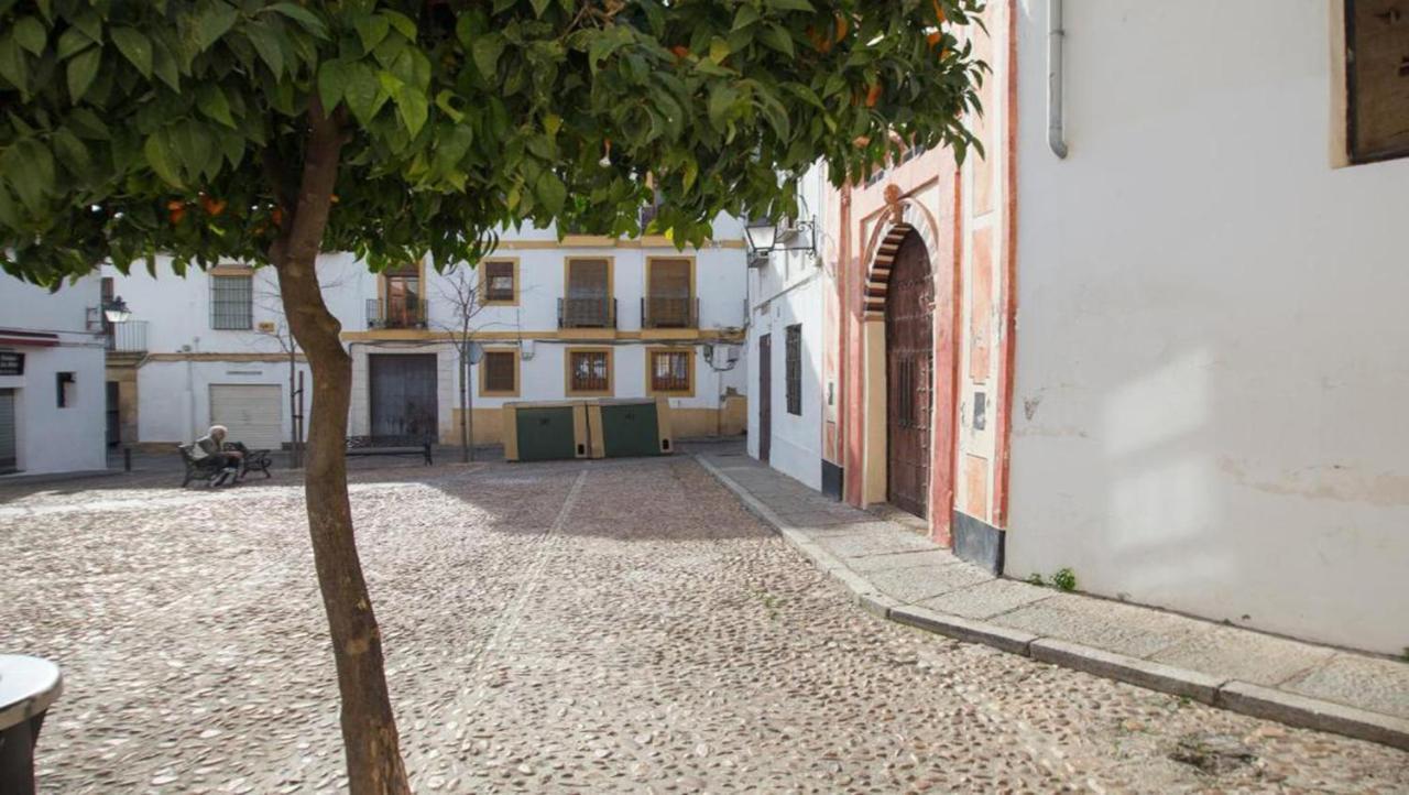 Apartment Ilusion Andaluza
