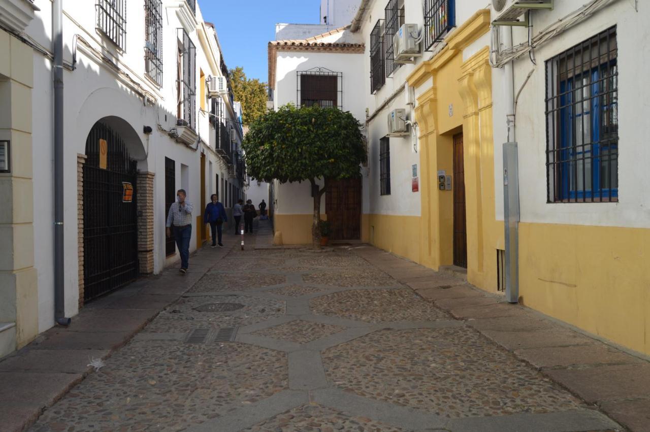 Alcazar Viejo Parking Tourist * Cordoba