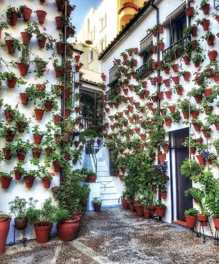 El Alcazar Viejo Apartment Cordoba