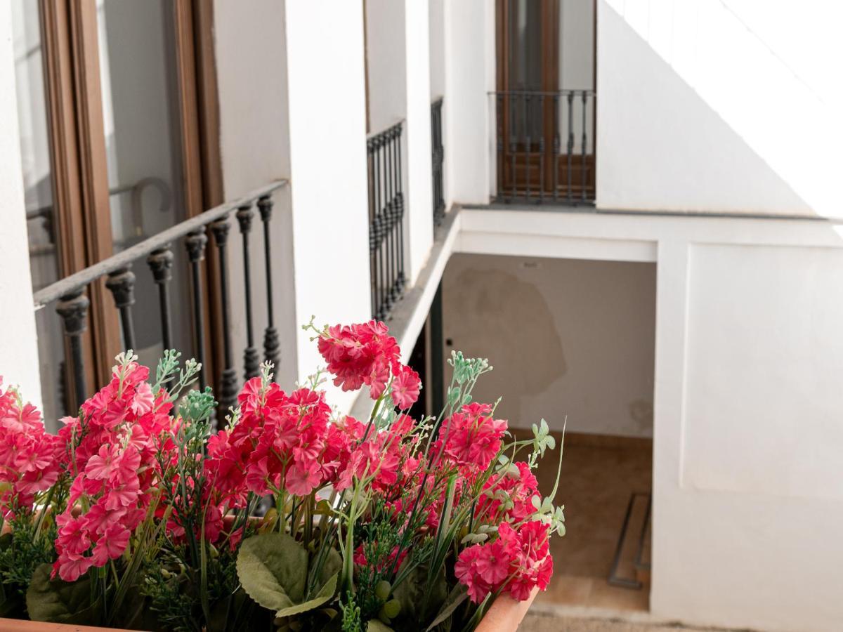 Estudio San Pedro-corredera Cordoba