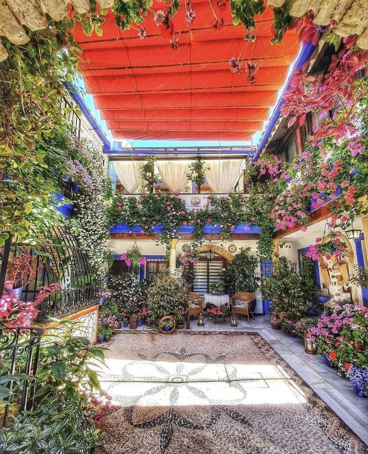 El Alcazar Viejo *