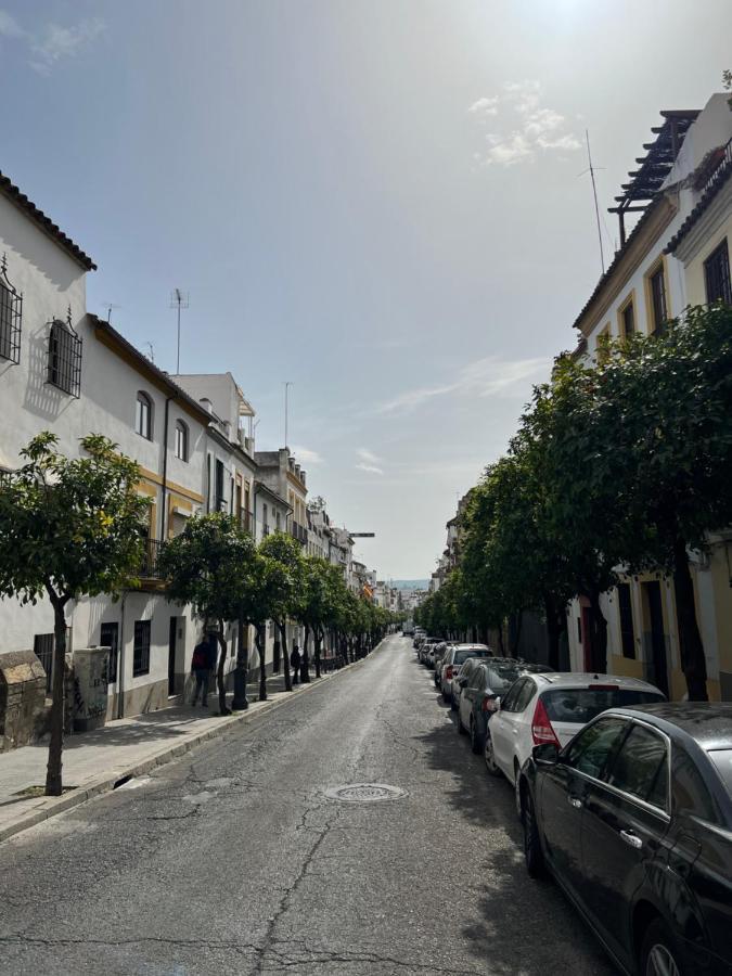 San Fernando Apartamento Córdoba