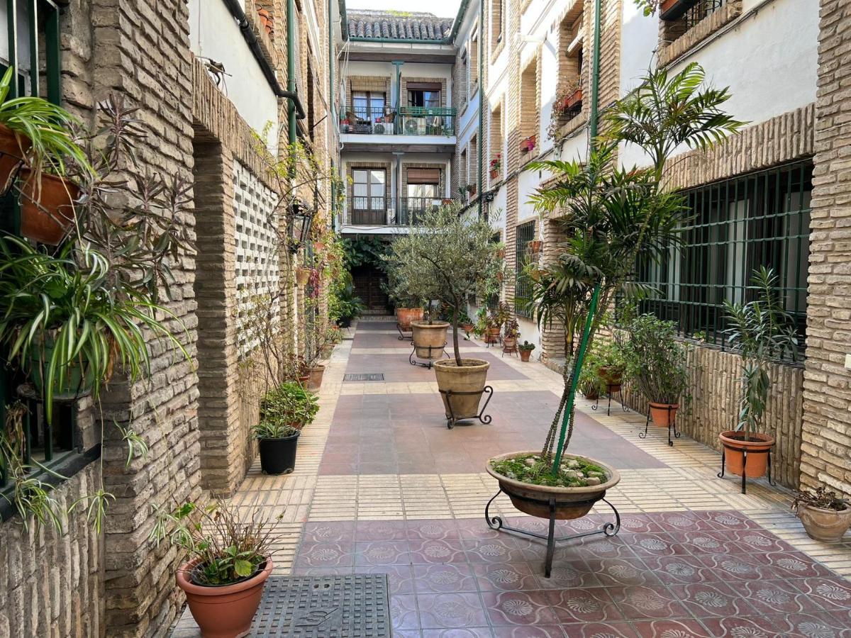Apartamento Precioso Loft Con Excelente Ubicación *