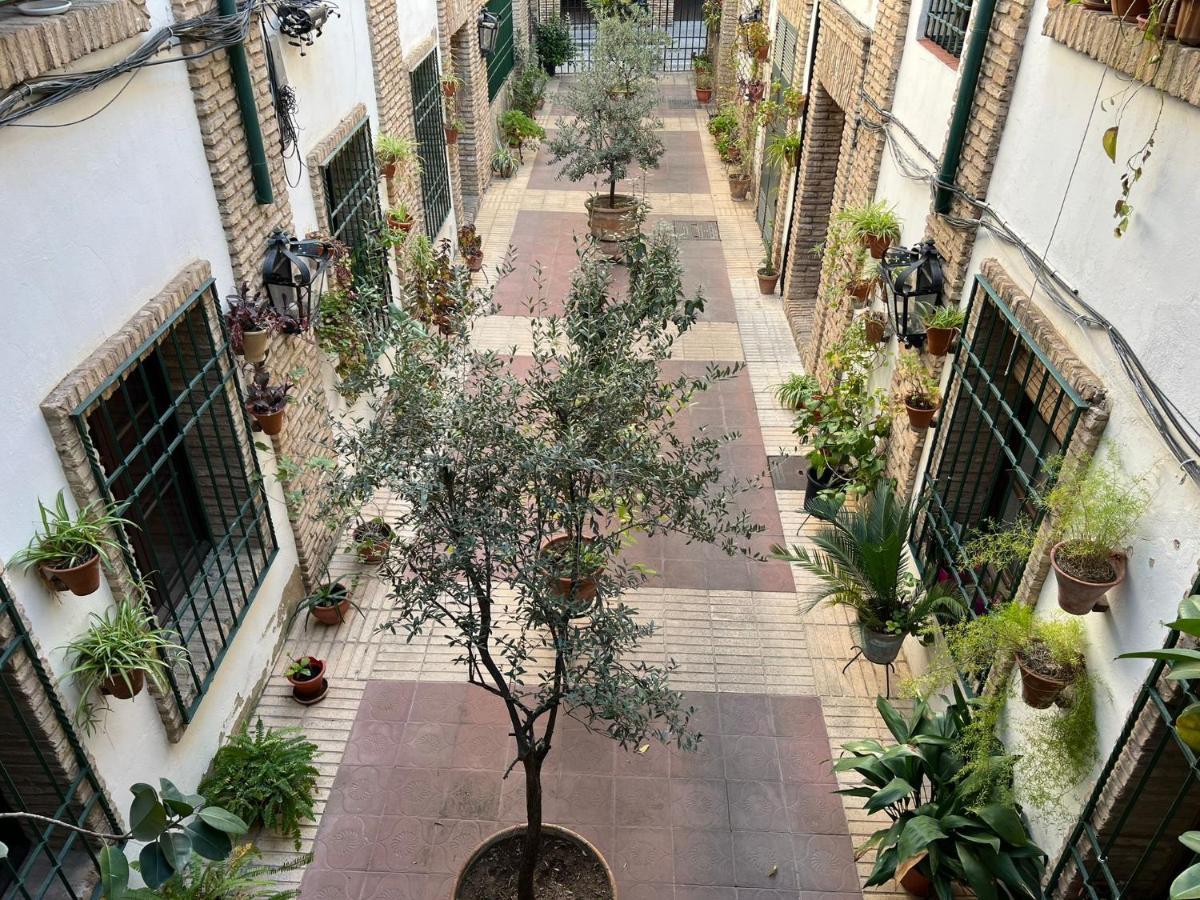 Precioso Loft Con Excelente Ubicación