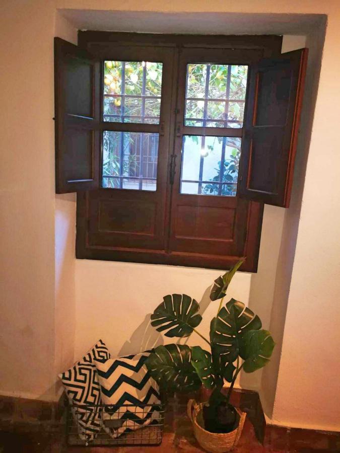 Apartamento Casa Patio Sueños De Daury Córdoba