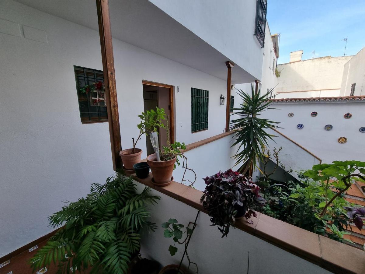 Patio Cordobés San Basilio Córdoba