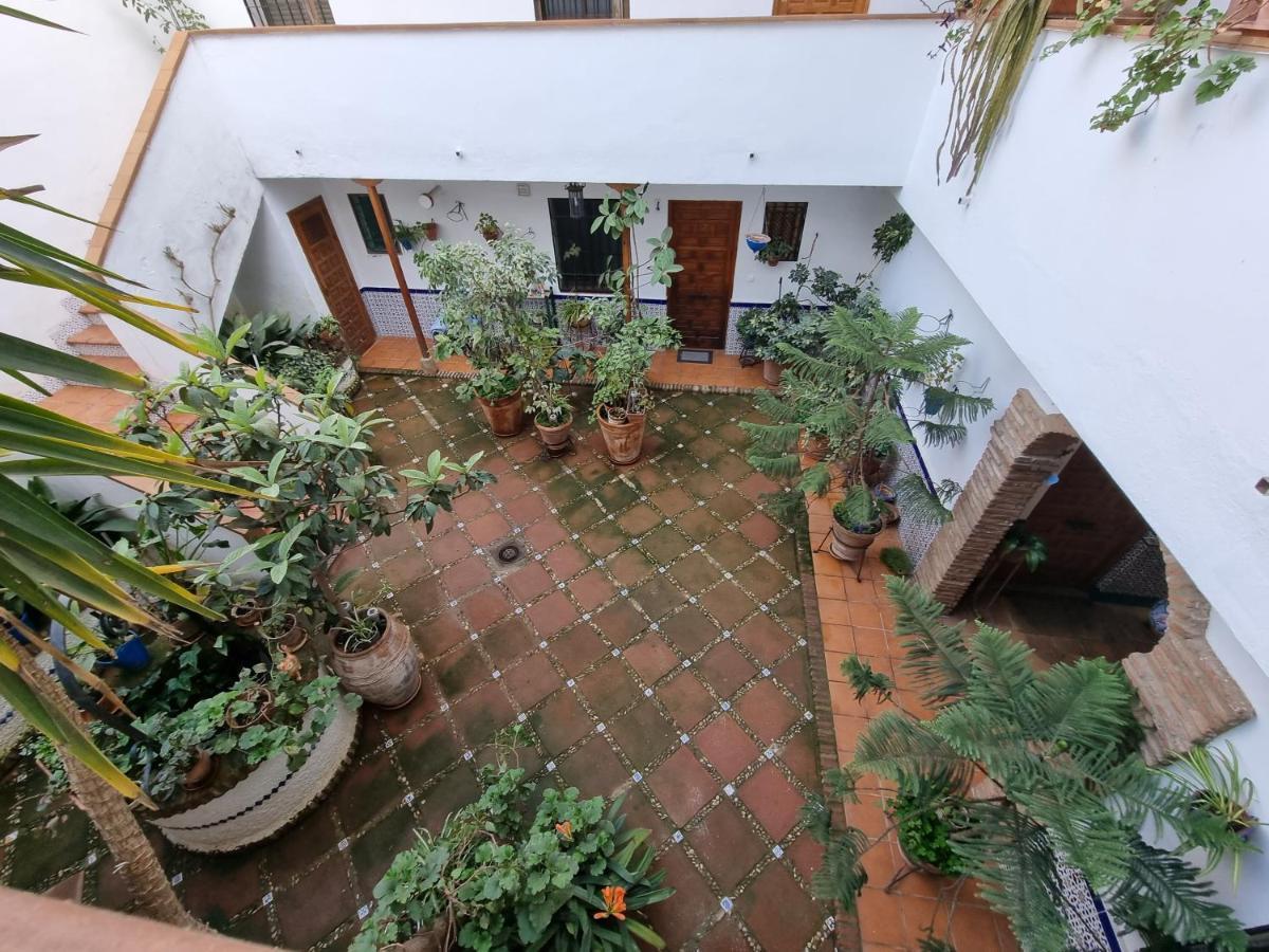 El Alcazar Viejo Apartment *
