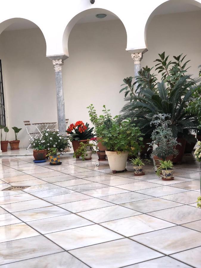 Penthouse In The Historic District Apartment Cordoba
