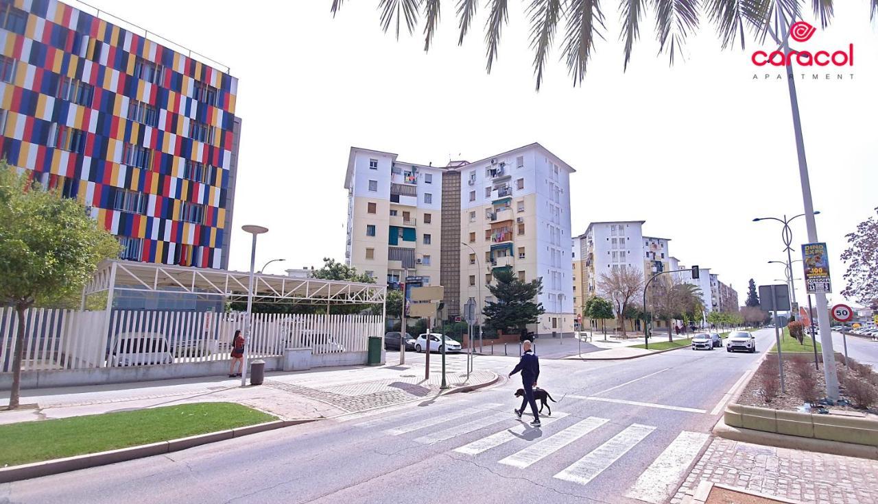 Apartamento Caracol -