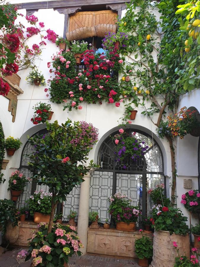 Apto. Planta Baja Y Cochera Barrio San Basilio Apartment Cordoba