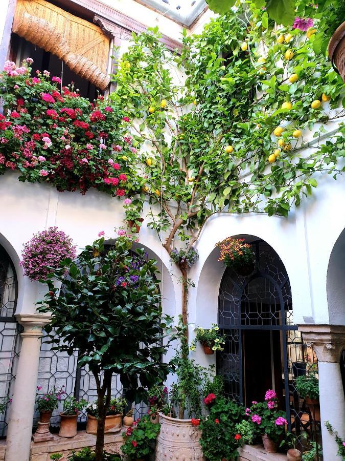 Apto. Planta Baja Y Cochera Barrio San Basilio Apartment