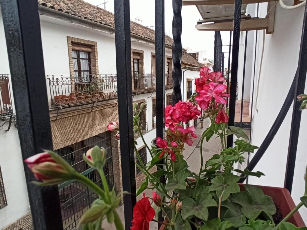 La Antigua Posada 33 *
