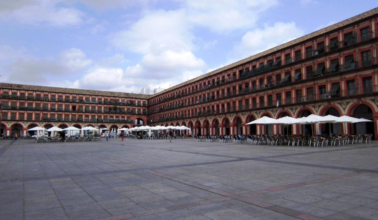 Estudio Jardines De Colón Apartamento *