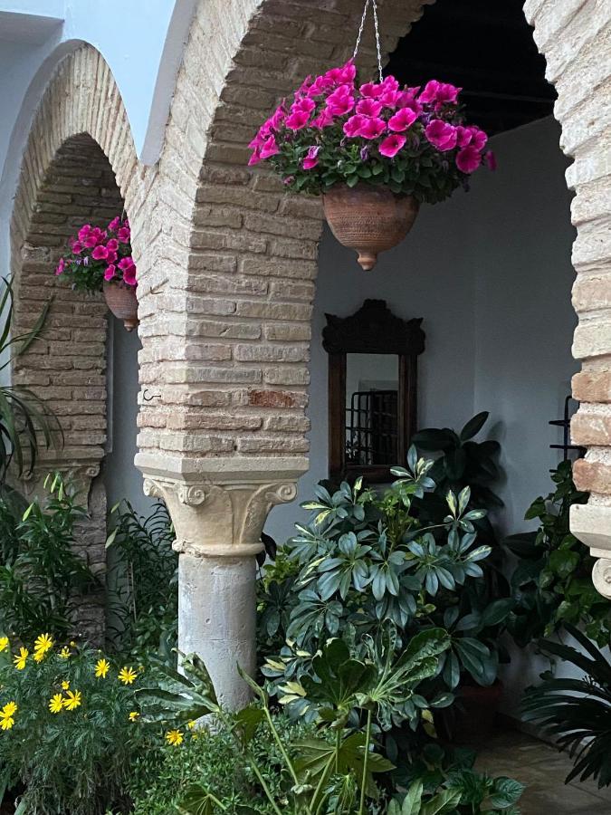 Apartment El Patio De Regina