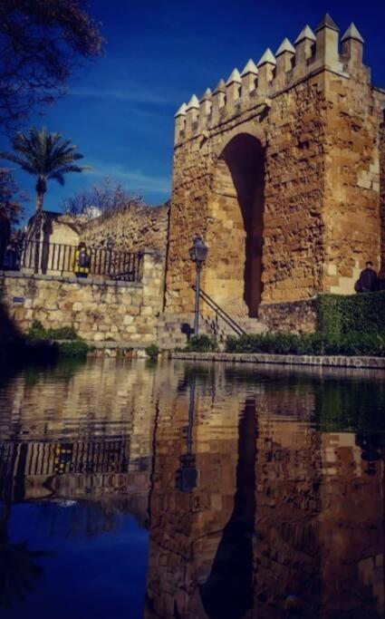Maripipi Córdoba