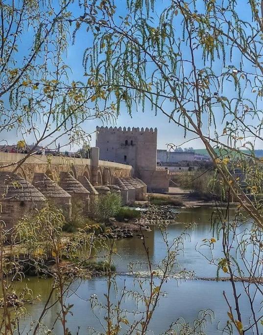 Maripipi Córdoba