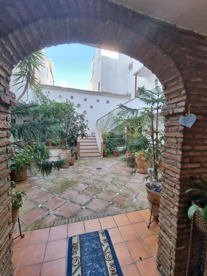 De Estreno En Patios Tipicos De San Basilio Cordoba