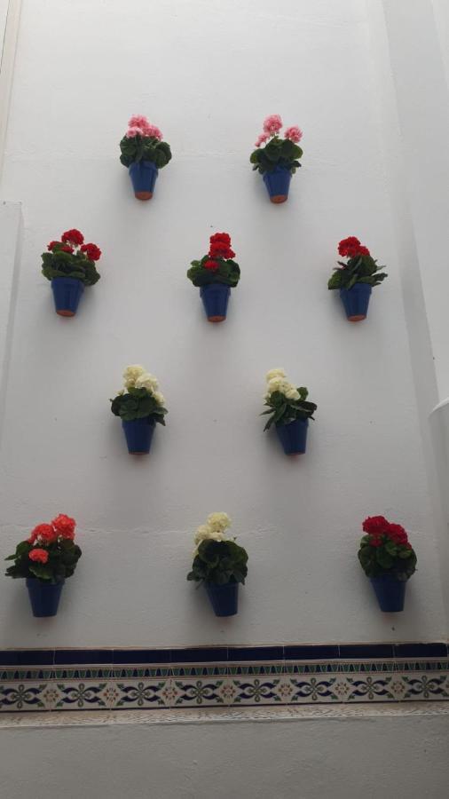 Apartamento El Mirador De San Fernando Córdoba
