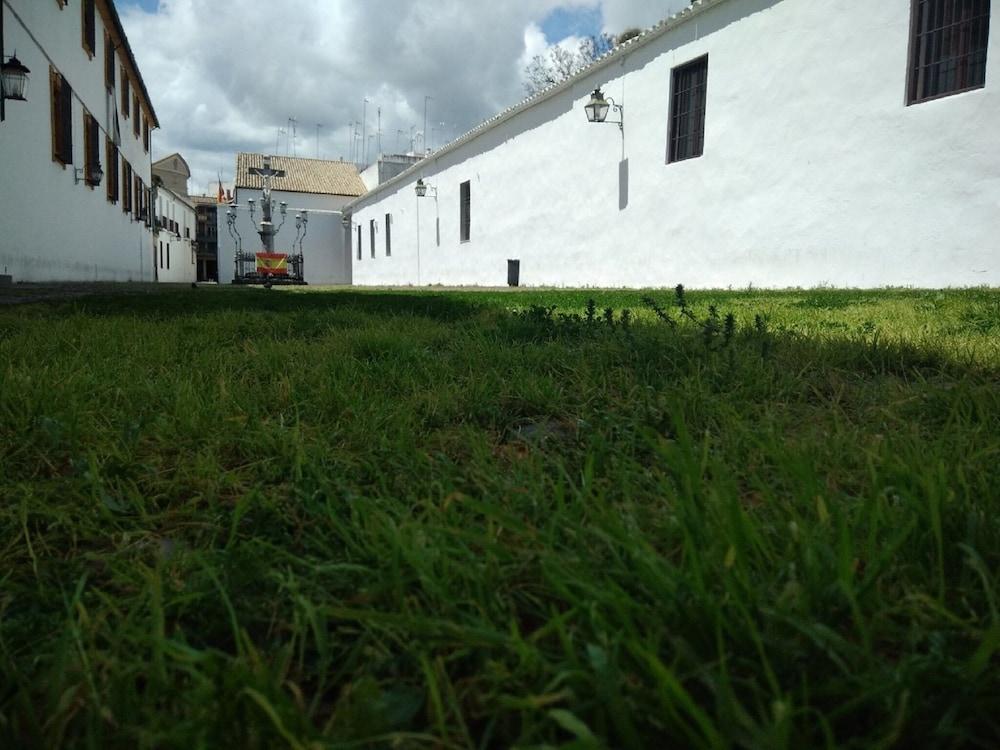 Plateros *