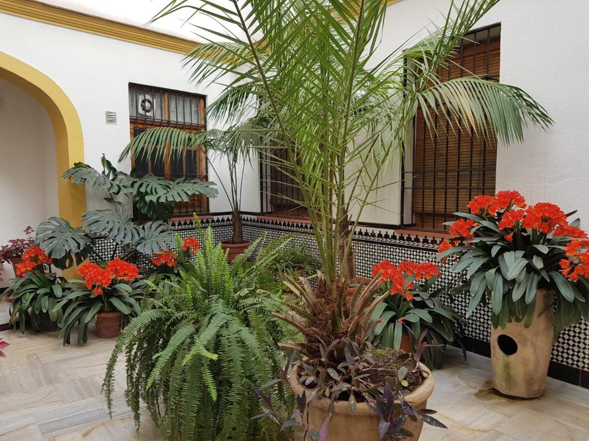 Casa Típica Cordobesa Córdoba