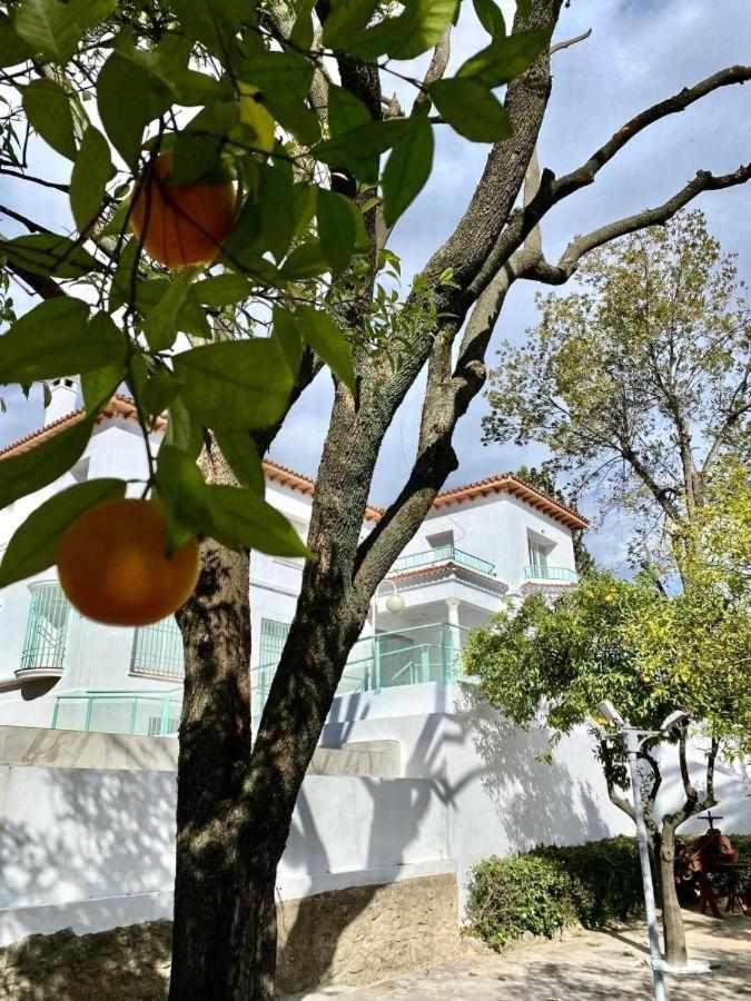 Nuevo Los Almendros 101 Complejo Turístico *