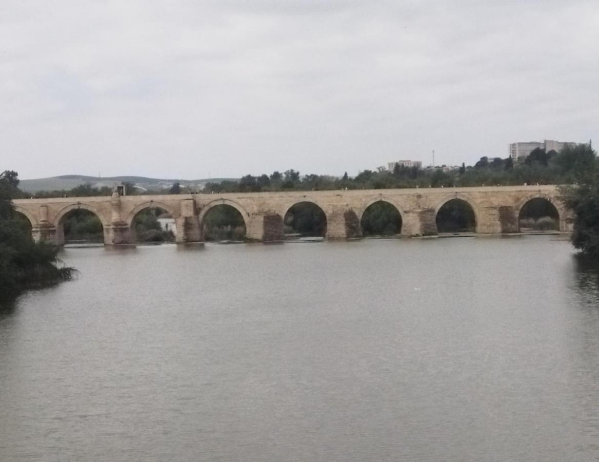 Caprichos De La Mezquita *