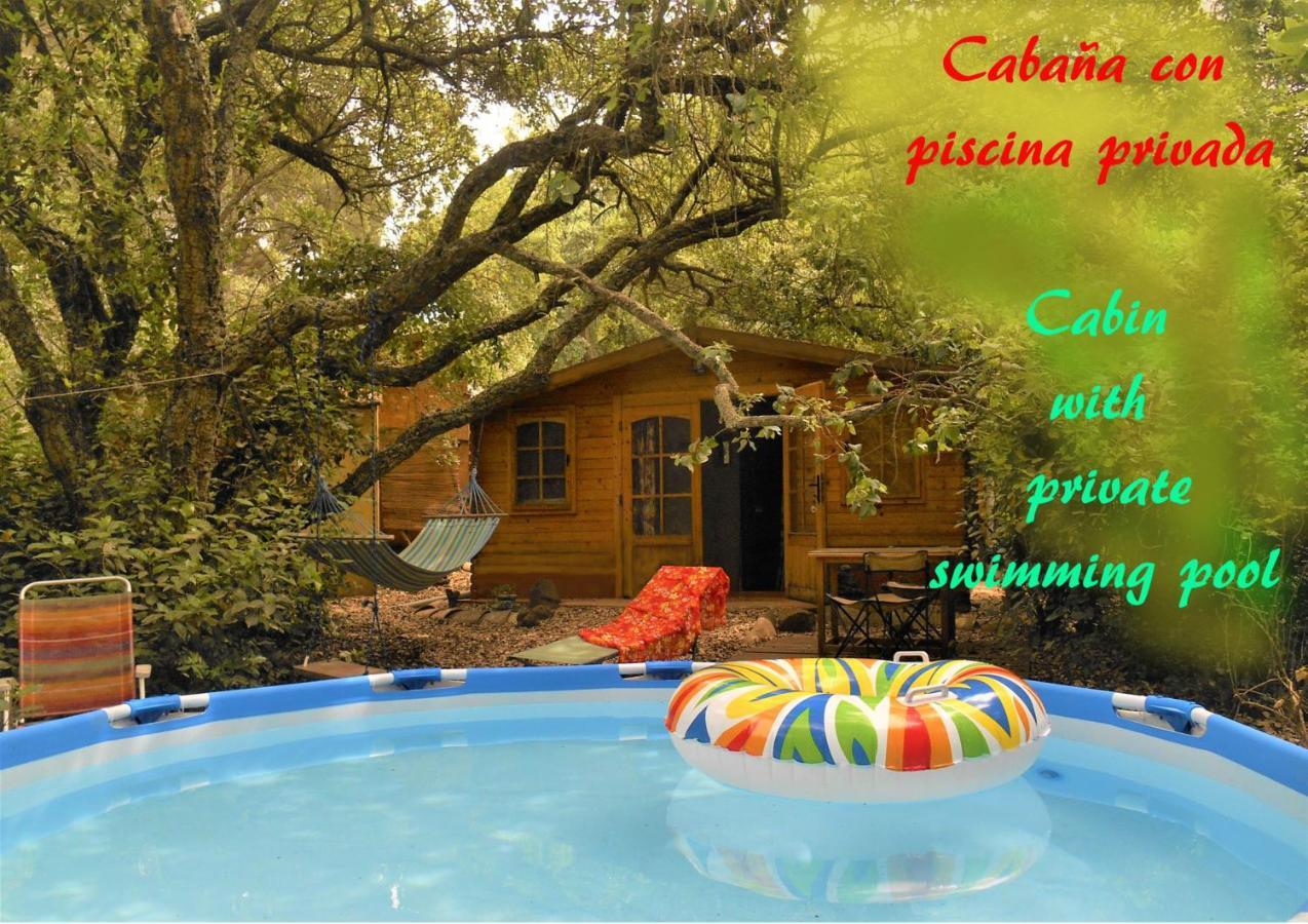 Сasa de vacaciones La Del Alcornoque