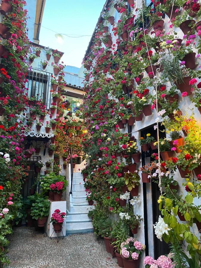 Atico Casa Lola * Córdoba