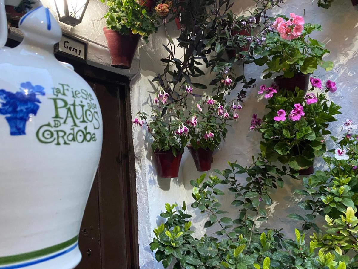 Atico Casa Lola * Córdoba