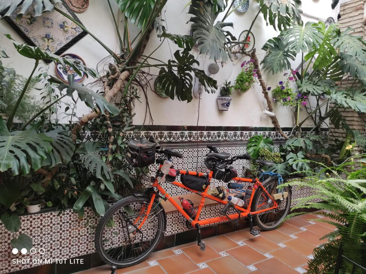 Arcos Pensión Córdoba