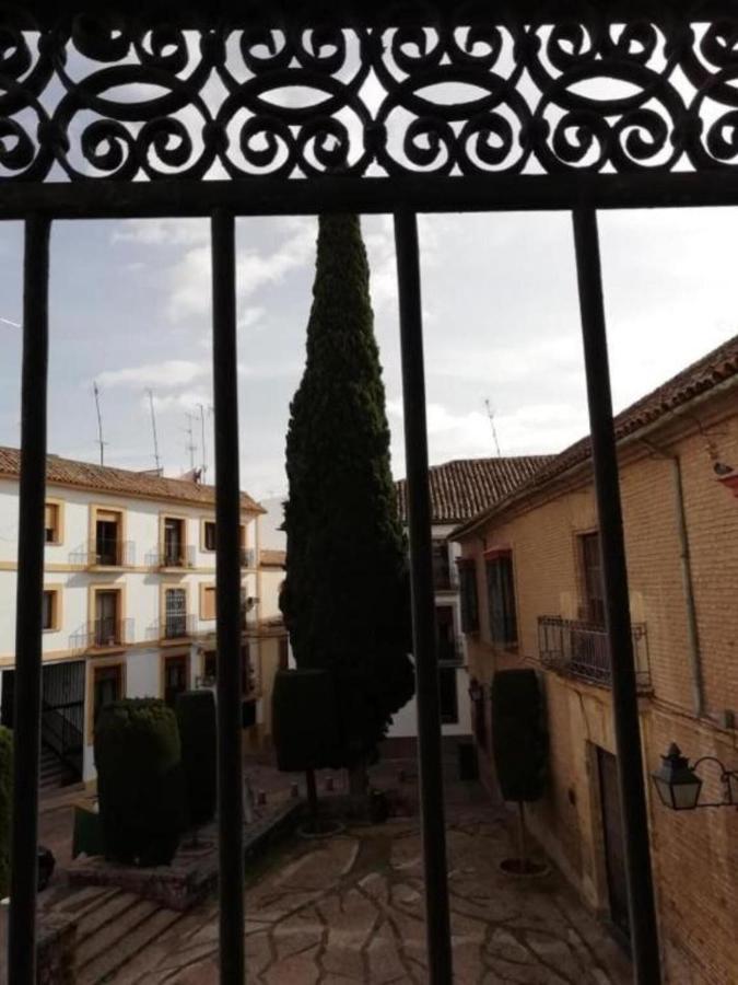 Hotel Plateros *