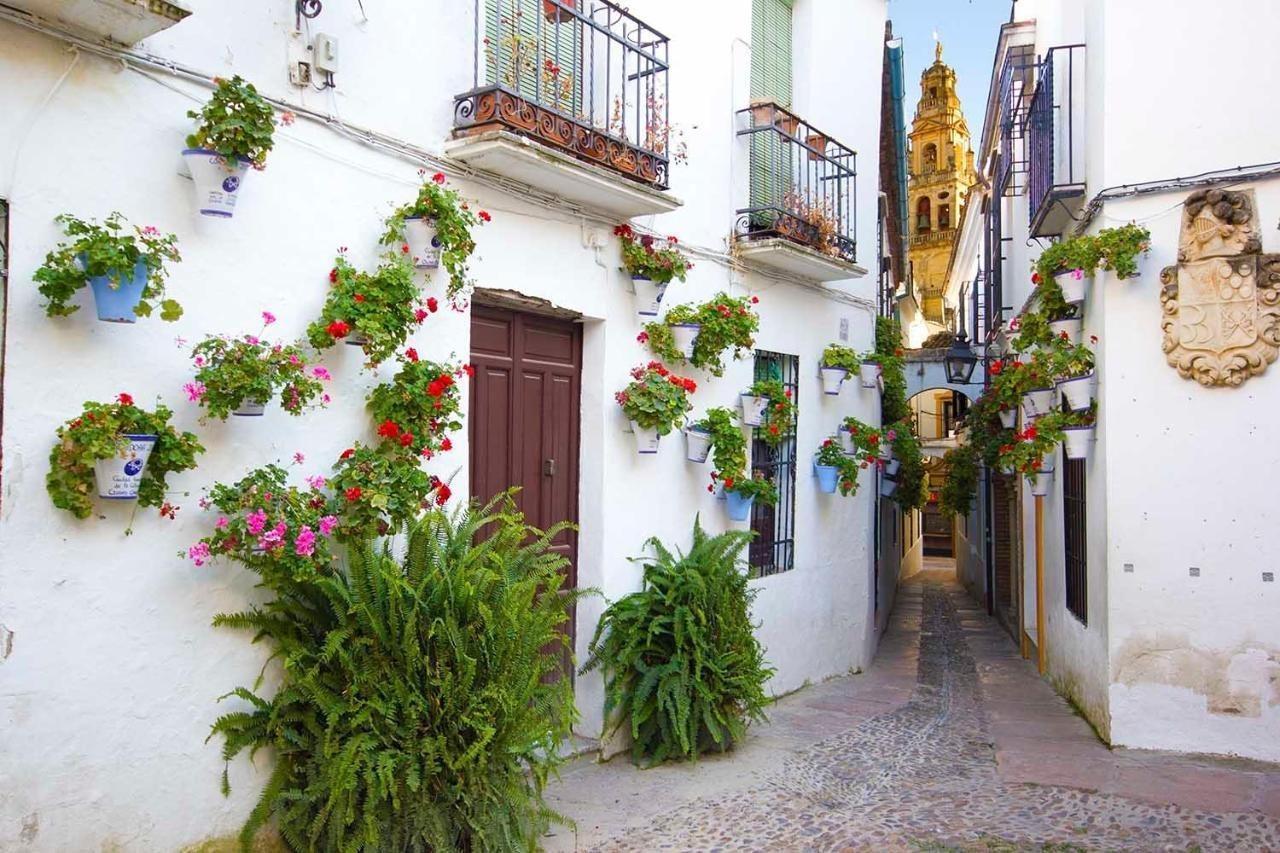 Apartamento Tandem Torre De La Calahorra *
