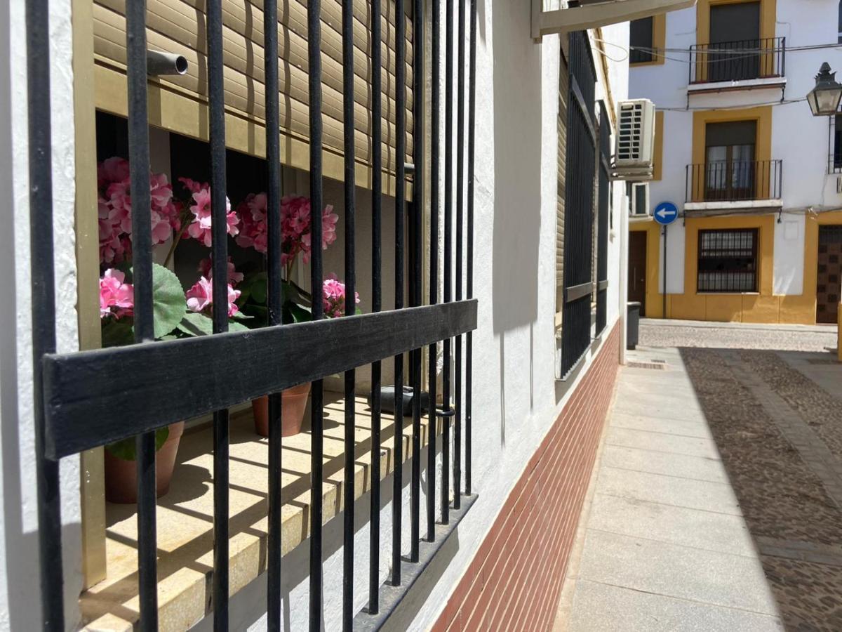 Despertar En San Basilio Córdoba