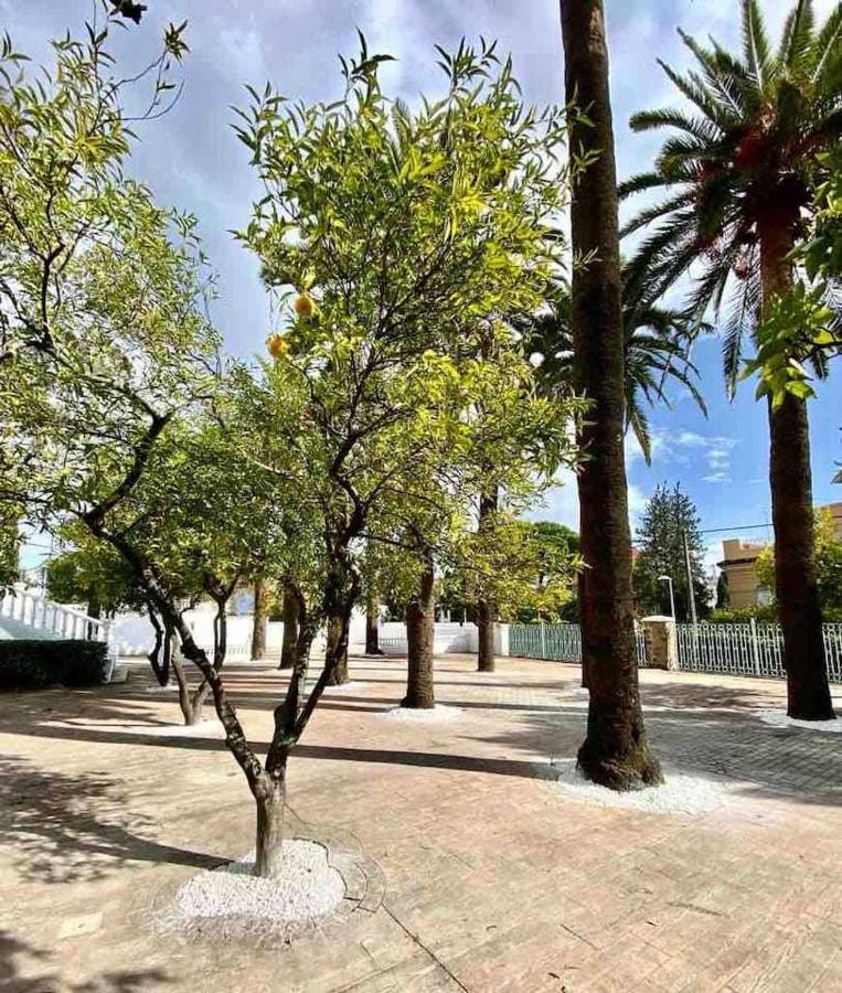 Apartamento Nuevo Los Almendros 303 Complejo Turístico