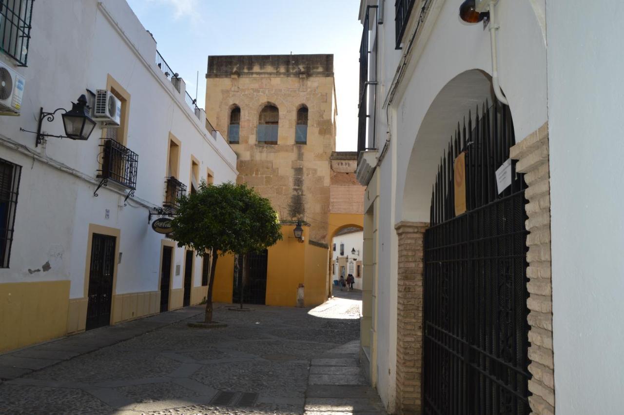 Alcazar Viejo Tourist Cordoba