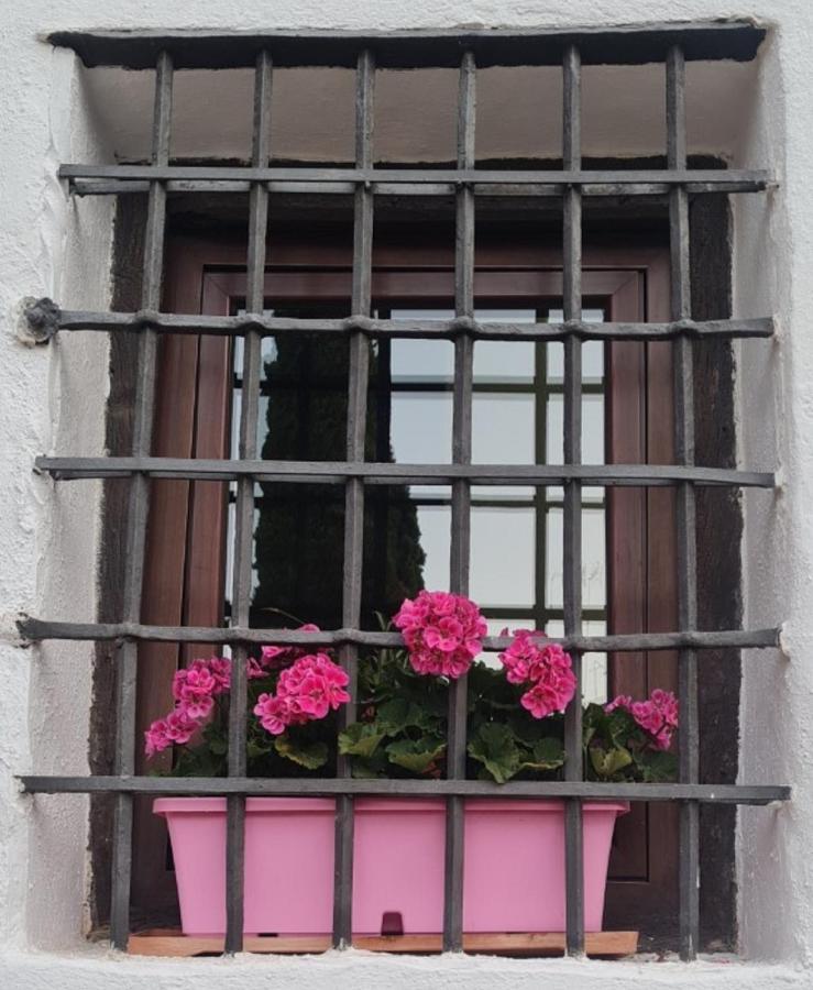 Hotel Plateros *