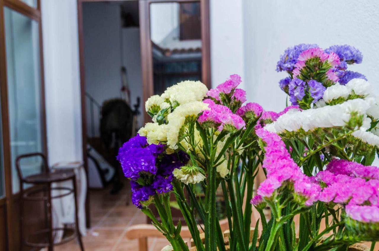 Apartamento La Casita De Santa Marina
