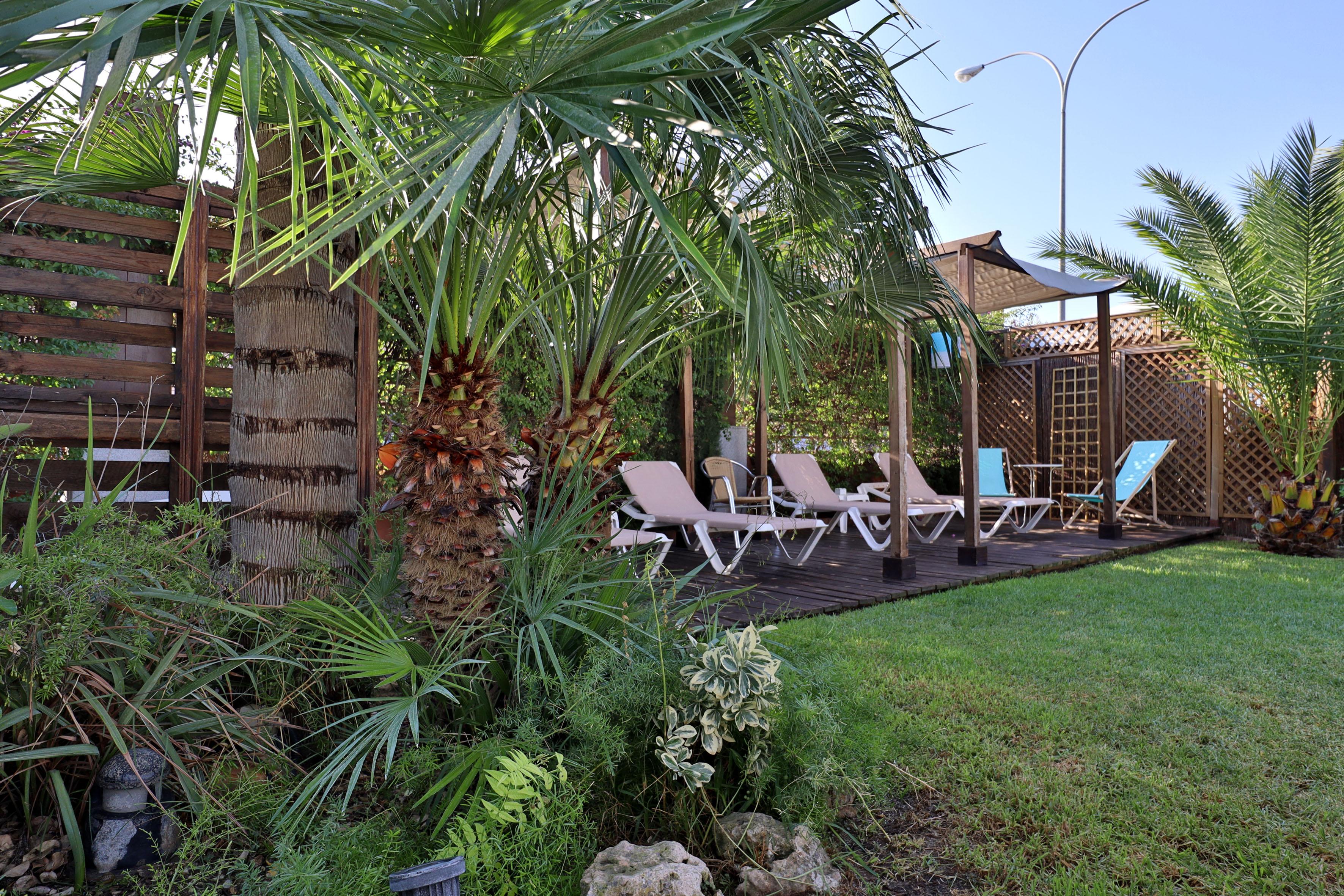 Oasis 2*