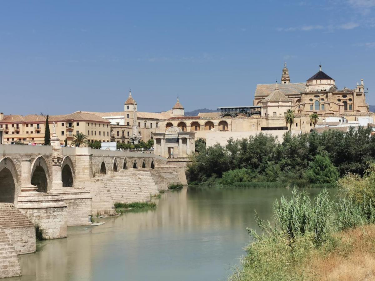 Apartamento Great Location With Free Private Parking Córdoba