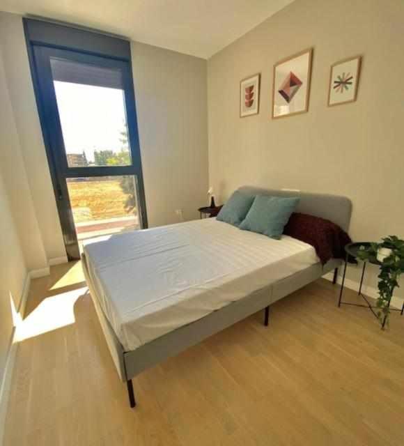 Nuevo Gran Apartamento Laronda