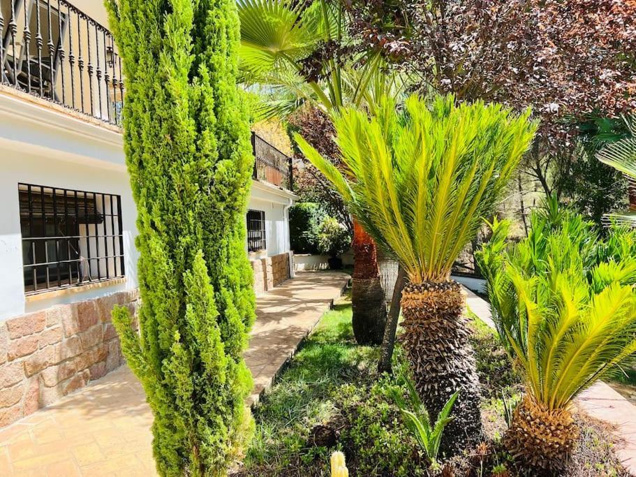Aljaral, Espectacular,piscina,chimenea, Climatizacion, Wifi Holiday home