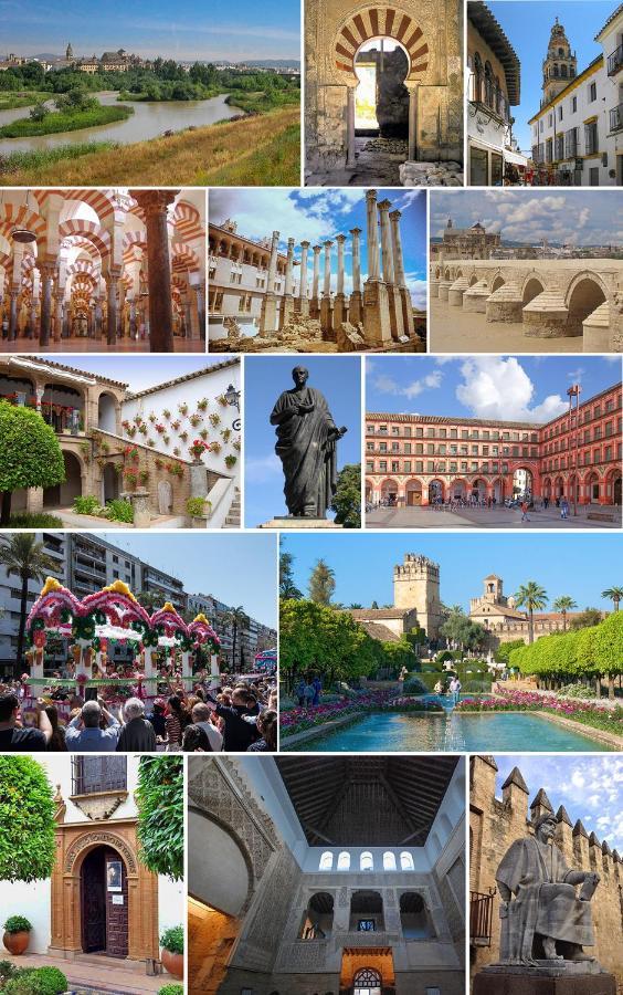Сasa de vacaciones Aljaral, Espectacular,piscina,chimenea, Climatización, Wifi Córdoba