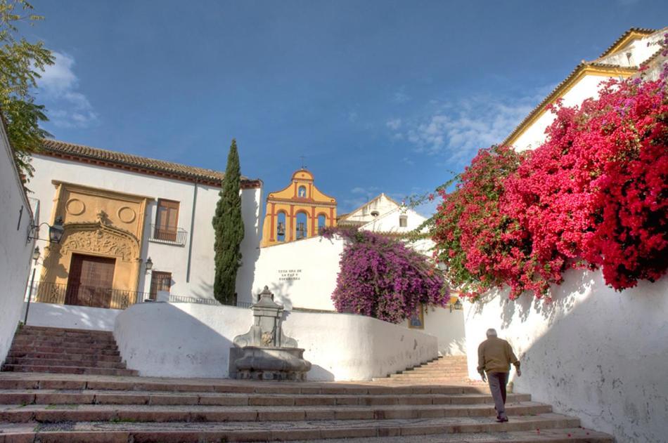 Aljaral, Espectacular,piscina,chimenea, Climatización, Wifi